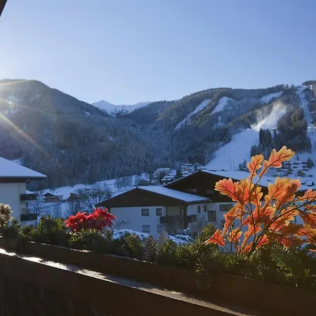 Enjoythealps - Hamburg Apartment Flachau